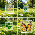 4 Pcs Real Nature Specimen Resin Cube Set, Real Four‑Leaf Clover (Marsilea Quadrifolia), Starfish, Tiger Butterfly & Hermit Crab Paperweight, Preserved Insect & Plant Collection Decor, Unique Natural Gift for Home Office